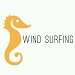wind surfing logo